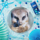 Assiettes En Carton Plaque papier MEERKAT (Fête)