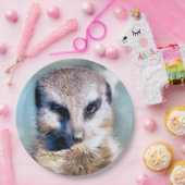 Assiettes En Carton Plaque papier MEERKAT (Fête)