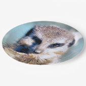 Assiettes En Carton Plaque papier MEERKAT (Angle)