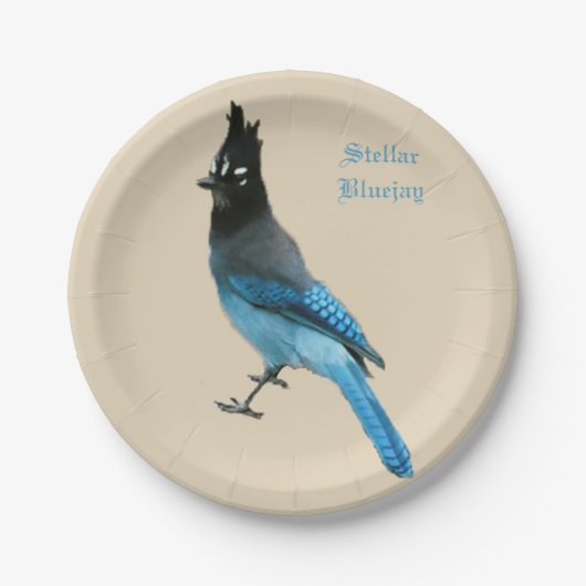 Assiettes En Carton Plaque papier Stellar Blue Jay (Devant)