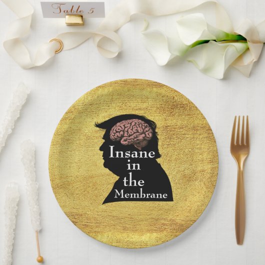 Assiettes En Carton Plaque papier Trump/fou (Mariage)