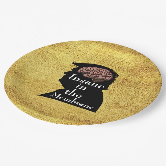 Assiettes En Carton Plaque papier Trump/fou (Angle)