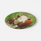 Assiettes En Carton Plaque Papier Vache Cudely (Angle)