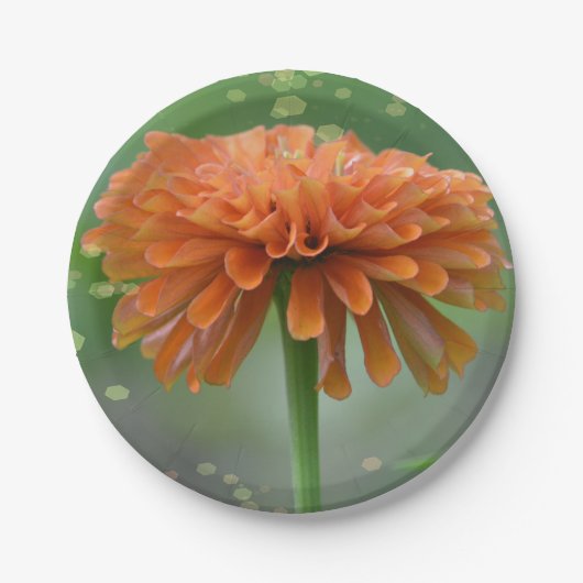 Assiettes En Carton Plaque papier Zinnia Zazzled (Devant)