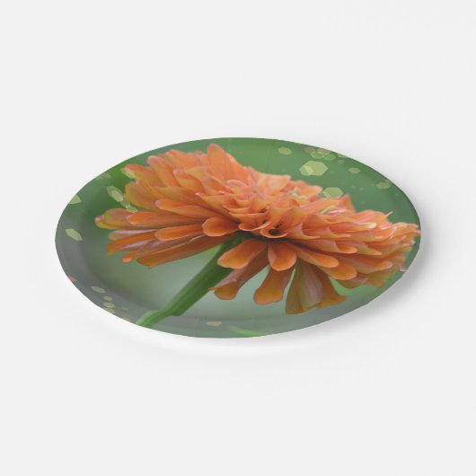 Assiettes En Carton Plaque papier Zinnia Zazzled (Angle)