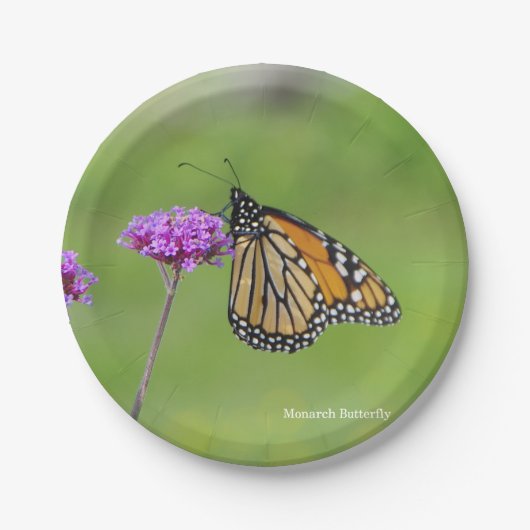 Assiettes En Carton Plaque papillon Monarch (Devant)