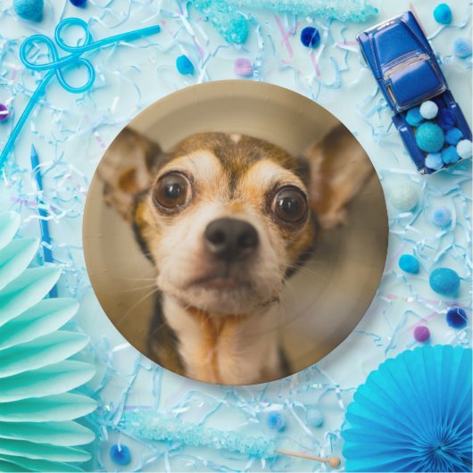 Assiettes En Carton Plaques à papier 10 de chien mignon (Fête)