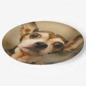 Assiettes En Carton Plaques à papier 10 de chien mignon (Angle)
