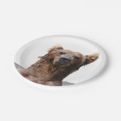 Assiettes En Carton Plaques à papier 7" avec l'ours gris (Angle)
