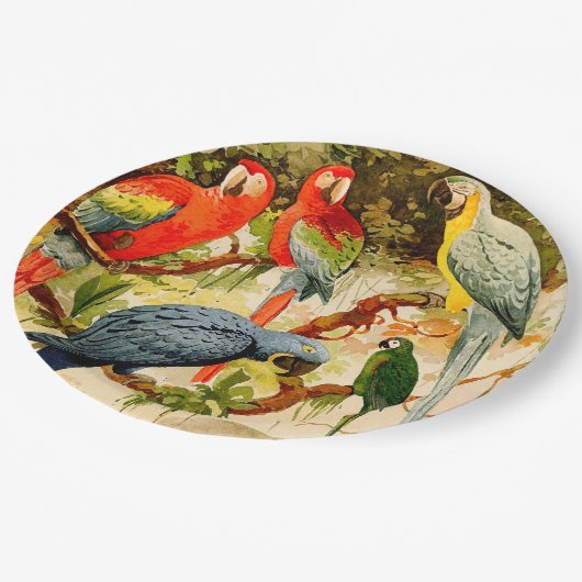 Assiettes En Carton Plaques à papier de faune d'animaux d'oiseaux de (Angle)