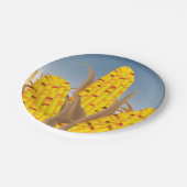 Assiettes En Carton Plaques à papier de maïs (Angle)