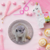 Assiettes En Carton Plaques à papier de Meerkat (Fête)
