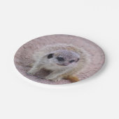 Assiettes En Carton Plaques à papier de Meerkat (Angle)