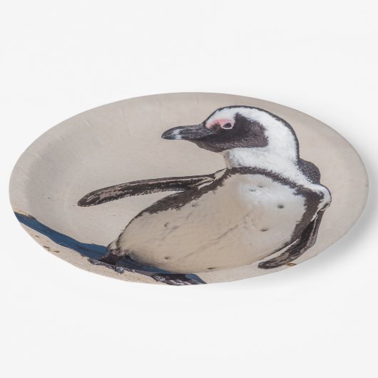 Assiettes En Carton Plaques à papier de pingouin espiègle (Angle)