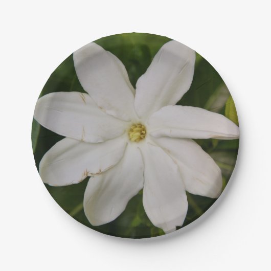 Assiettes En Carton Plaques à papier de Tahitian Gardena (Devant)