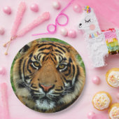 Assiettes En Carton Plaques à papier de tigre (Fête)