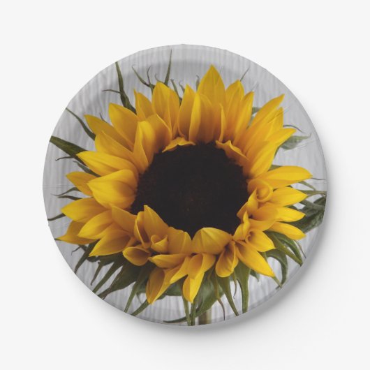 Assiettes En Carton Plaques à papier de tournesol (Devant)