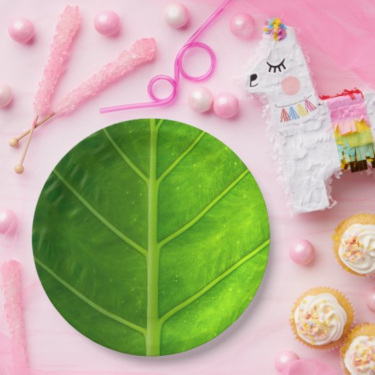 Assiettes En Carton Plaques à papier jetables de feuille tropicale (Fête)