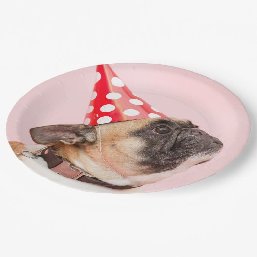 Assiettes En Carton Plaques à papier jetables de partie de chien de (Angle)