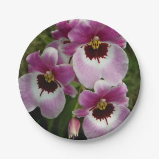 Assiettes En Carton Plaques à papier - orchidée de pensée