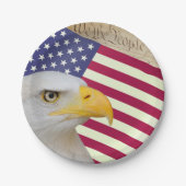 Assiettes En Carton Plaques American Flag, We The People / USA (Devant)