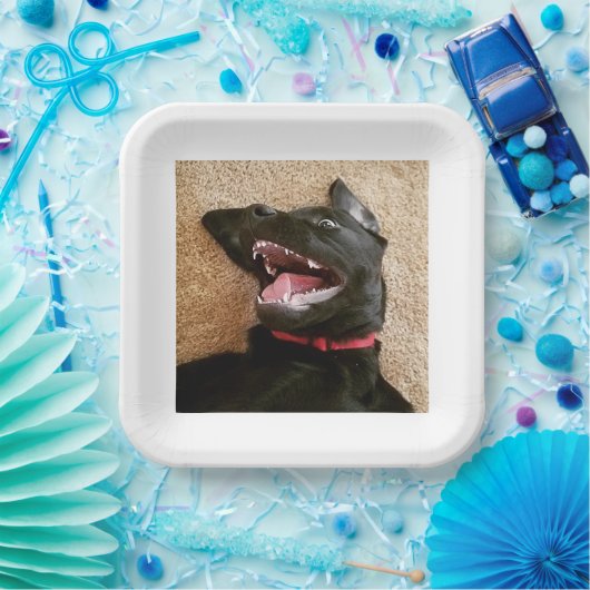 Assiettes En Carton Plaques Ashley Noms (Fête)