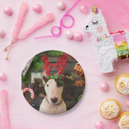 Assiettes En Carton Plaques de Noël Rex (Fête)