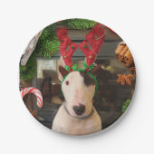 Assiettes En Carton Plaques de Noël Rex (Devant)