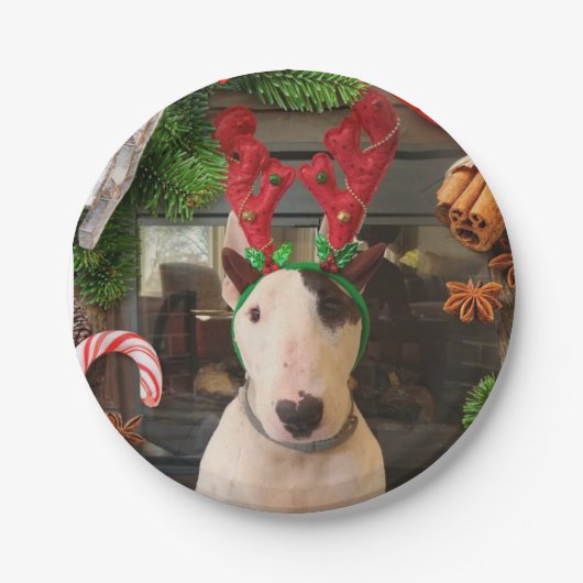 Assiettes En Carton Plaques de Noël Rex (Devant)