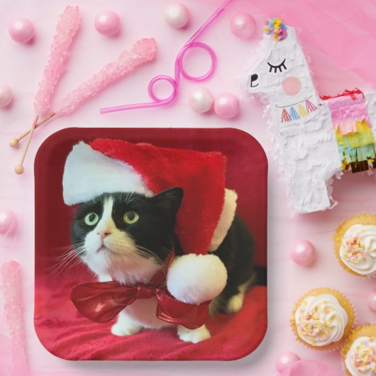 Assiettes En Carton Plaques de Noël Tuxedo Cat (Fête)