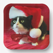 Assiettes En Carton Plaques de Noël Tuxedo Cat (Recto)