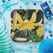 Assiettes En Carton Plaques de papier (Fête)