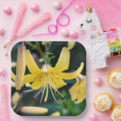 Assiettes En Carton Plaques de papier (Fête)