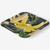 Assiettes En Carton Plaques de papier (Angulaire)