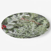 Assiettes En Carton Plaques de papier (Angle)