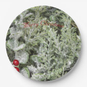 Assiettes En Carton Plaques de papier (Devant)