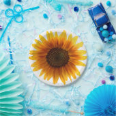 Assiettes En Carton Plaques de papier (Fête)