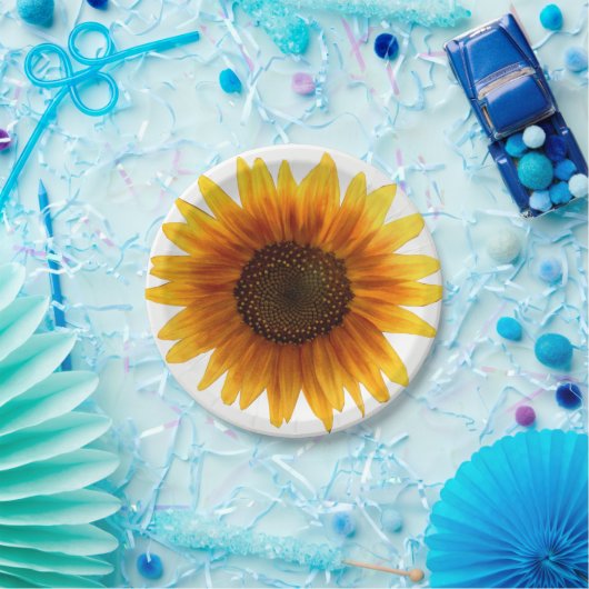 Assiettes En Carton Plaques de papier (Fête)