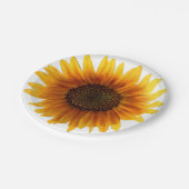 Assiettes En Carton Plaques de papier (Angle)