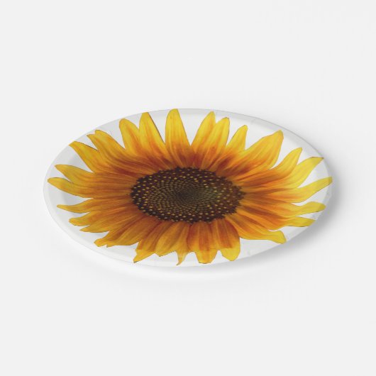 Assiettes En Carton Plaques de papier (Angle)