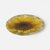 Assiettes En Carton Plaques de papier (Angle)