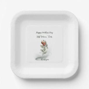Assiettes En Carton Plaques de papier