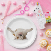 Assiettes En Carton Plaques de papier Bulldog (Fête)