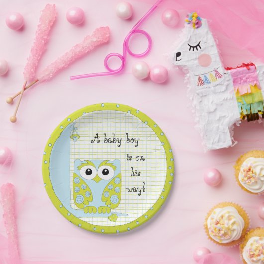 Assiettes En Carton Plaques de papier "Chouette bleue/verte" (Fête)