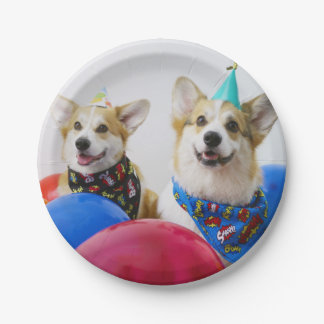 Assiettes En Carton Plaques de papier Corgis Party