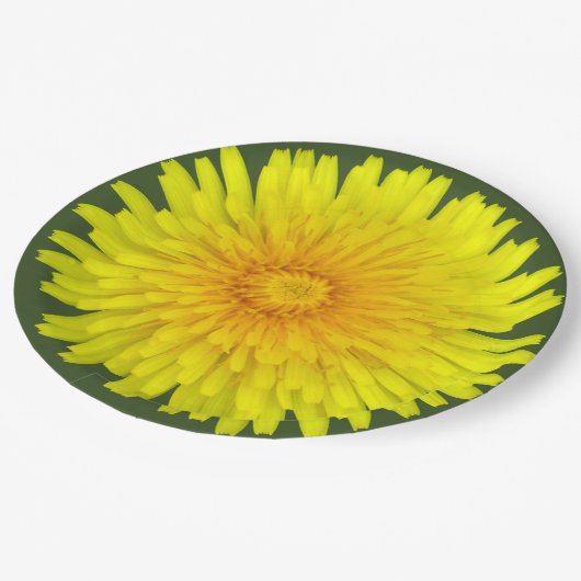 Assiettes En Carton Plaques de papier Dandelion été (Angle)