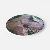 Assiettes En Carton Plaques de papier de dinosaure (Angle)