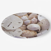 Assiettes En Carton Plaques de papier de dollars de sable (Angle)