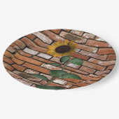 Assiettes En Carton Plaques de papier de tournesol (Angle)