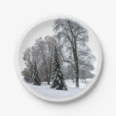 Assiettes En Carton Plaques de papier de vacances Plaques de Wonderlan (Devant)